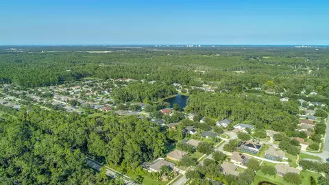 3 Cross Vine Dr, Ormond Beach, FL 32174 photo 49