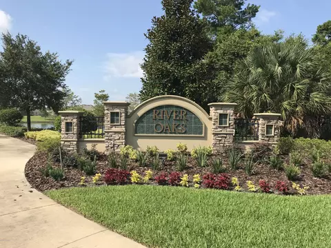 314 River Vale Ln, Ormond Beach, FL 32174 photo 4