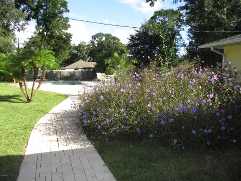 3130 Orange Tree Dr, Edgewater, FL 32141 photo 7