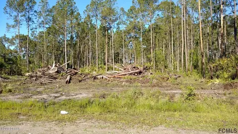 2134 Fig St, Bunnell, FL 32110 photo 2