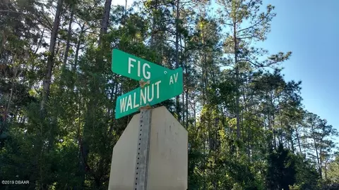 2134 Fig St, Bunnell, FL 32110 photo 4