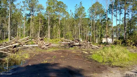2134 Fig St, Bunnell, FL 32110 photo 3