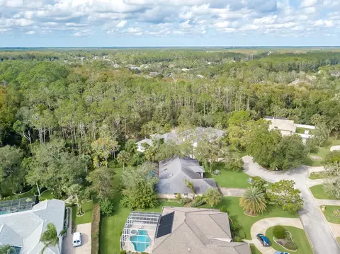 4 Double Branch Way, Ormond Beach, FL 32174 photo 46