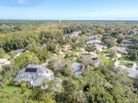 4 Double Branch Way, Ormond Beach, FL 32174 photo 49