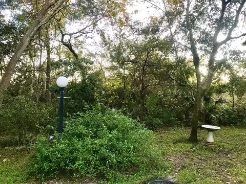 3908 Cree Dr, Ormond Beach, FL 32174 photo 22