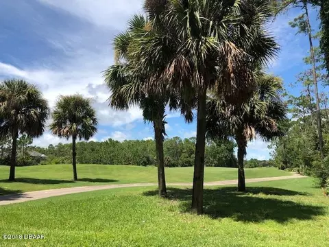 6 Landings Ln, Ormond Beach, FL 32174 photo 52
