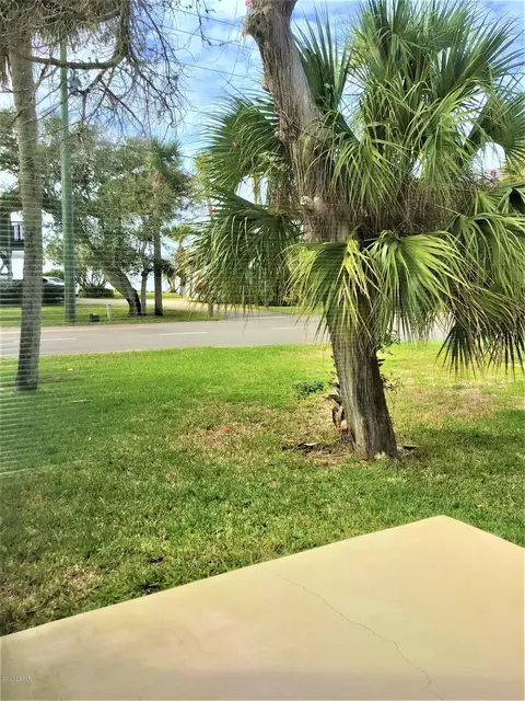 2 Sand Dollar Dr, Ormond Beach, FL 32176 photo 23