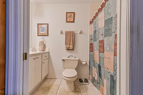 3330 Juniper Dr, Edgewater, FL 32141 photo 38