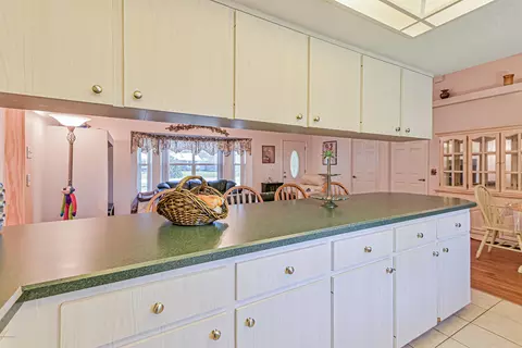 3330 Juniper Dr, Edgewater, FL 32141 photo 20