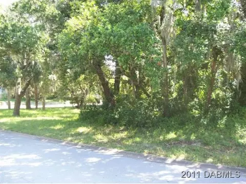 60 Bosarvey Cir, Ormond Beach, FL 32176 photo 1