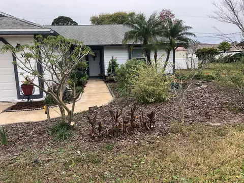 3224 Queen Palm Dr, Edgewater, FL 32141 photo 3
