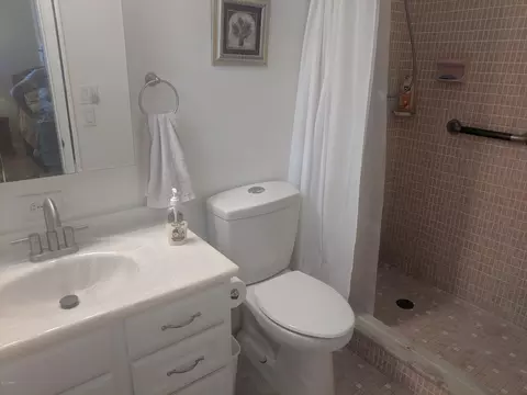 25 Silk Oaks Dr, Ormond Beach, FL 32176 photo 21