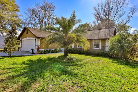 2928 Orange Tree Dr, Edgewater, FL 32141 photo 2