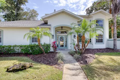 4100 Piute Ln, Ormond Beach, FL 32174 photo 3