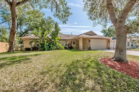 2935 Tamarind Dr, Edgewater, FL 32141 photo 3