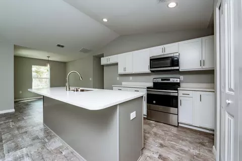 3003 Mango Tree Dr, Edgewater, FL 32141 photo 13