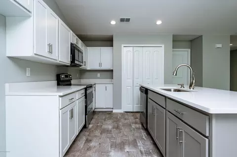 3003 Mango Tree Dr, Edgewater, FL 32141 photo 3