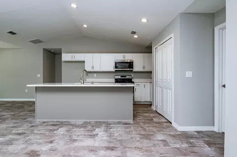 3003 Mango Tree Dr, Edgewater, FL 32141 photo 7
