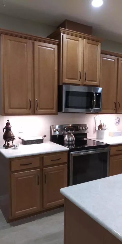 44 Heron Wing Dr, Ormond Beach, FL 32174 photo 9