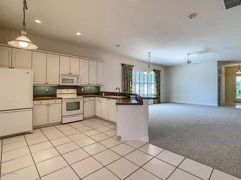 3117 Inishmore Dr, Ormond Beach, FL 32174 photo 15