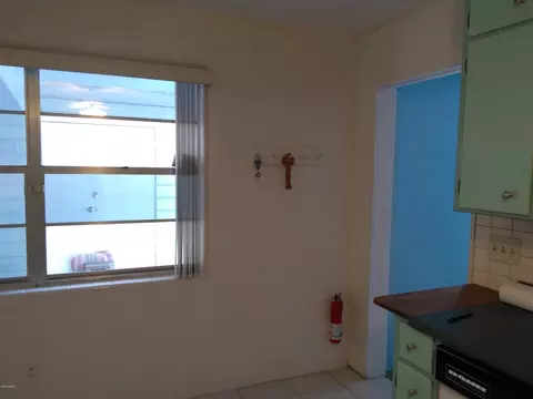 1821 Orange Tree Dr, Edgewater, FL 32132 photo 34