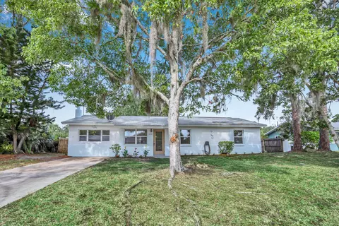 2824 Yule Tree Dr, Edgewater, FL 32141 photo 1