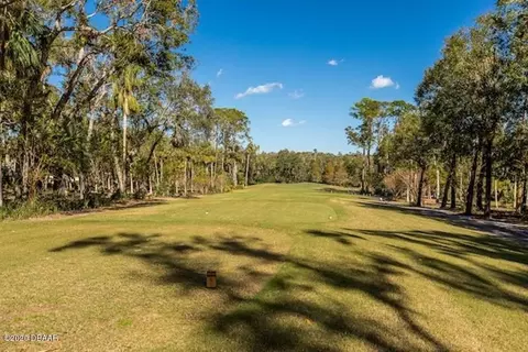3933 Tano Dr, Ormond Beach, FL 32174 photo 61