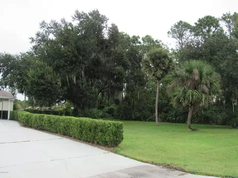 1041 Flying M Ct, Edgewater, FL 32132 photo 44
