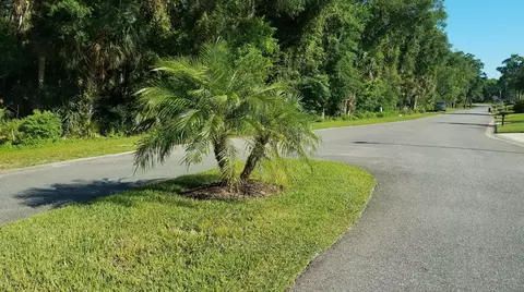 40 Mayfield Terrace Ter, Ormond Beach, FL 32174 photo 3