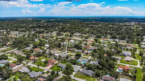 3033 Sabal Palm Dr, Edgewater, FL 32141 photo 87