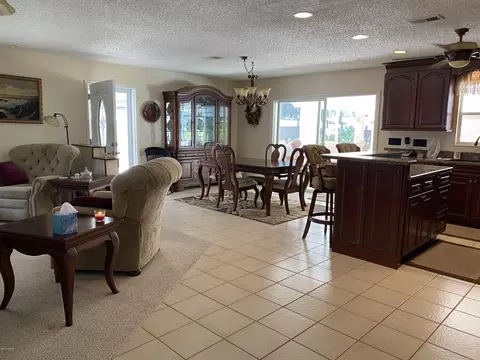 1823 Needle Palm Dr, Edgewater, FL 32132 photo 5