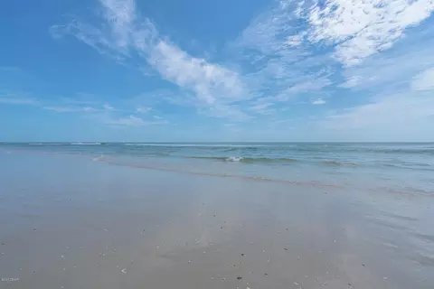 115 Beau Rivage Dr, Ormond Beach, FL 32176 photo 50