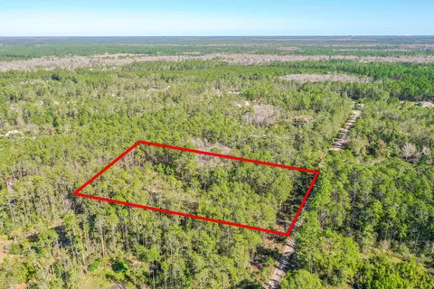 3656 Conifer Ln, Ormond Beach, FL 32174 photo 2