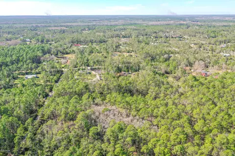 3656 Conifer Ln, Ormond Beach, FL 32174 photo 8