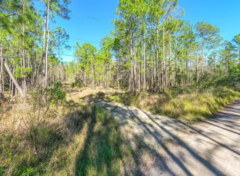 3656 Conifer Ln, Ormond Beach, FL 32174 photo 3