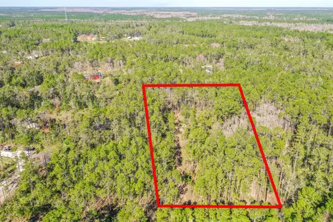 3656 Conifer Ln, Ormond Beach, FL 32174 photo 11
