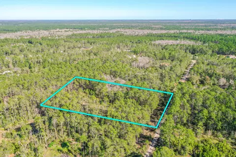 3656 Conifer Ln, Ormond Beach, FL 32174 photo 9