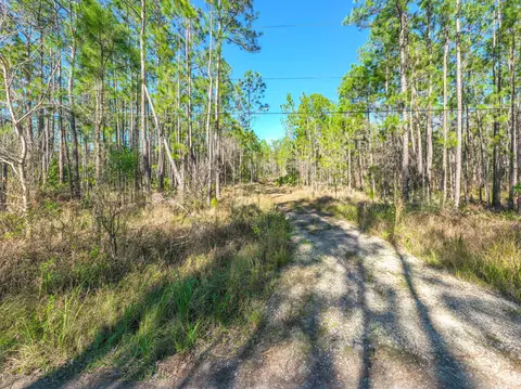 3656 Conifer Ln, Ormond Beach, FL 32174 photo 6