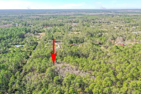 3656 Conifer Ln, Ormond Beach, FL 32174 photo 7