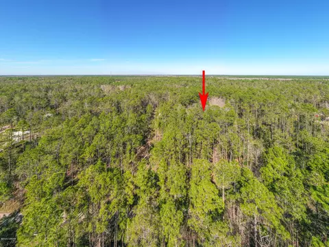 3656 Conifer Ln, Ormond Beach, FL 32174 photo 10