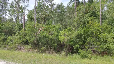 1954 Lemon St, Bunnell, FL 32110 photo 4