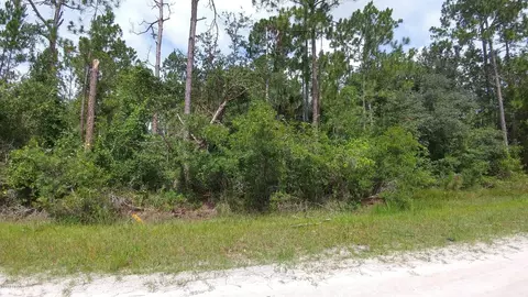1954 Lemon St, Bunnell, FL 32110 photo 3
