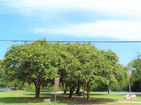 6 Windsail Cir, Ormond Beach, FL 32174 photo 45