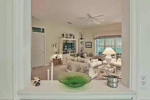 3339 Newbliss Cir, Ormond Beach, FL 32174 photo 9
