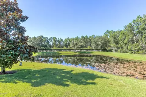 1224 Draycott St, Ormond Beach, FL 32174 photo 35