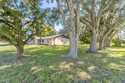 1731 Umbrella Tree Dr, Edgewater, FL 32132 photo 3