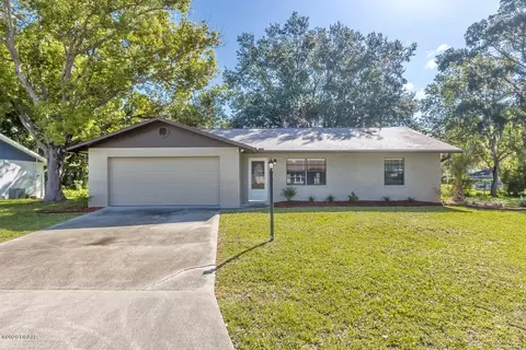 1731 Umbrella Tree Dr, Edgewater, FL 32132 photo 1