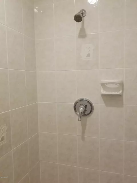1323 Umbrella Tree Dr, Edgewater, FL 32132 photo 50