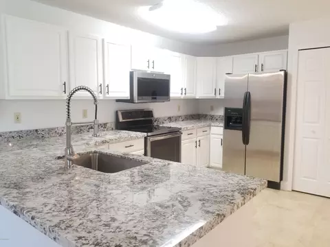1323 Umbrella Tree Dr, Edgewater, FL 32132 photo 18