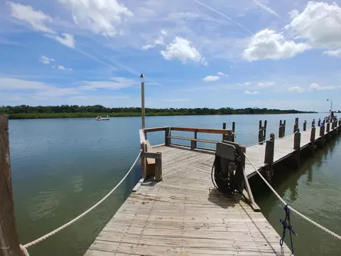 148 Red Bass Ln, Edgewater, FL 32141 photo 37